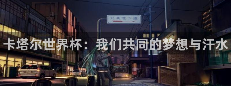 2026世界杯亚洲预选赛：卡塔尔世界杯：我们共同的梦想与汗水