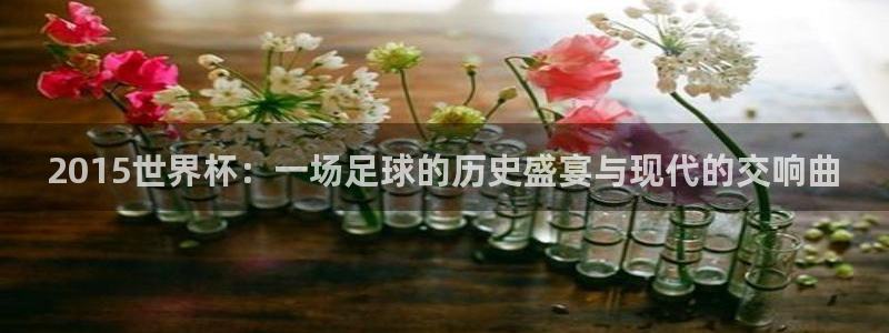 世界杯足球比赛：2015世界杯：一场足球的历史盛宴与现代的交响曲