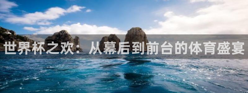 足球杯：世界杯之欢：从幕后到前台的体育盛宴