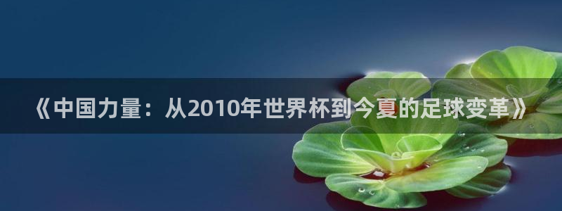 世界杯官网入口：《中国力量：从2010年世界杯到今夏的足球变革》