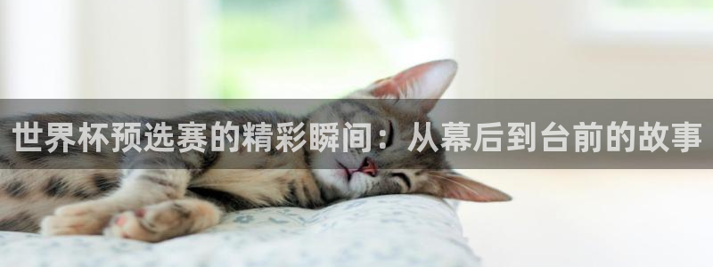 世界杯今年：世界杯预选赛的精彩瞬间：从幕后到台前的故事