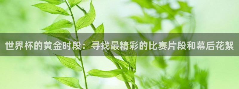 世界杯今日赛程直播：世界杯的黄金时段：寻找最精彩的比赛片段和幕后花絮