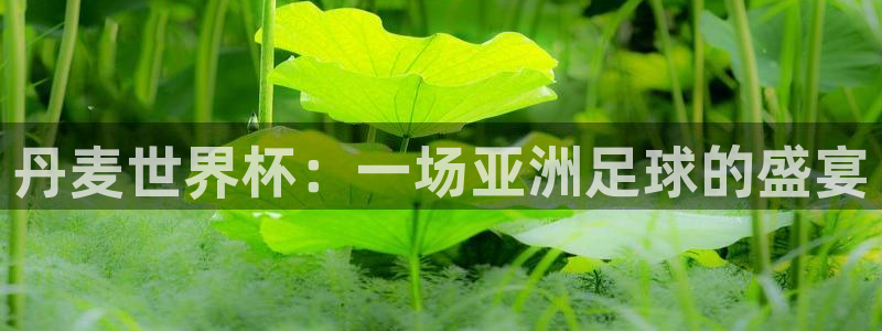 免费看足球直播比赛：丹麦世界杯：一场亚洲足球的盛宴