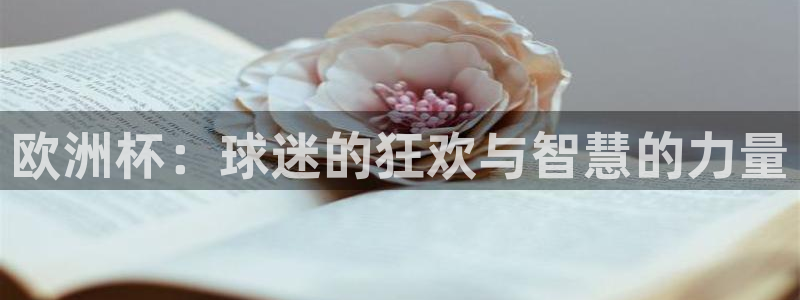 世界杯 直播：欧洲杯：球迷的狂欢与智慧的力量