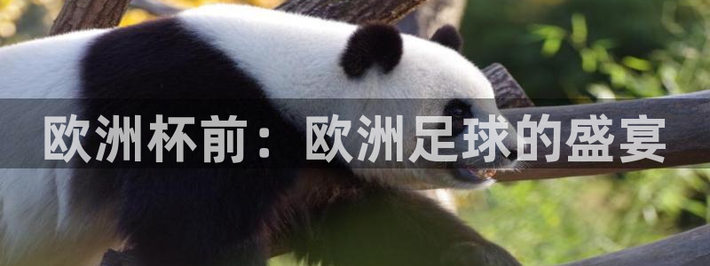 2026世界杯德国队阵容：欧洲杯前：欧洲足球的盛宴