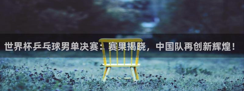 2026葡萄牙杯赛程表：世界杯乒乓球男单决赛：赛果揭晓，中国队再创新辉煌！