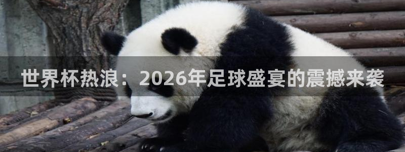 足球世界杯2026年赛程时间表：世界杯热浪：2026年足球盛宴的震撼来袭
