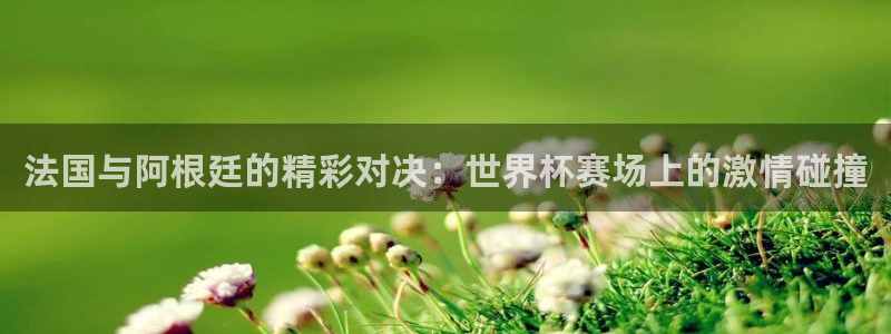 2026世界杯预选赛：法国与阿根廷的精彩对决：世界杯赛场上的激情碰撞
