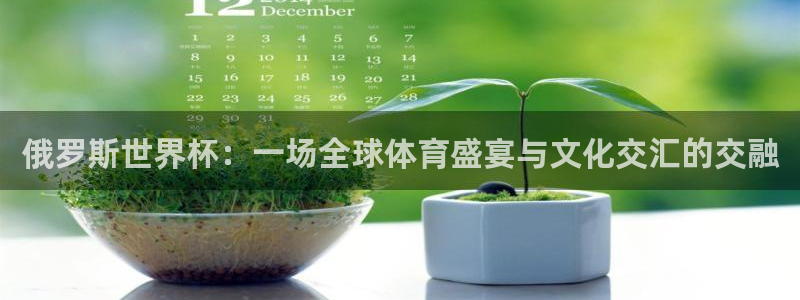 2026足球世界杯赛程：俄罗斯世界杯：一场全球体育盛宴与文化交汇的交融