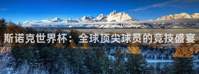 世界杯直播高清：斯诺克世界杯：全球顶尖球员的竞技盛宴