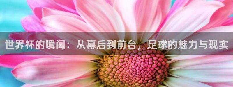 世界杯赛程表2026：世界杯的瞬间：从幕后到前台，足球的魅力与现实