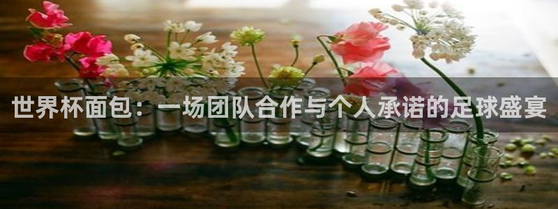 世界杯预选赛直播：世界杯面包：一场团队合作与个人承诺的足球盛宴